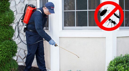 Sivrice Gümüşkurt İlaçlama böcek ilaçlama ve haşere kontrolü — ilaclama-tr.com